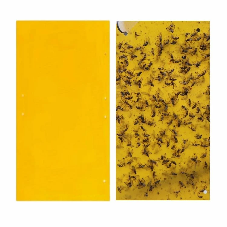Yellow Sticky Traps For Flying Plant Insect